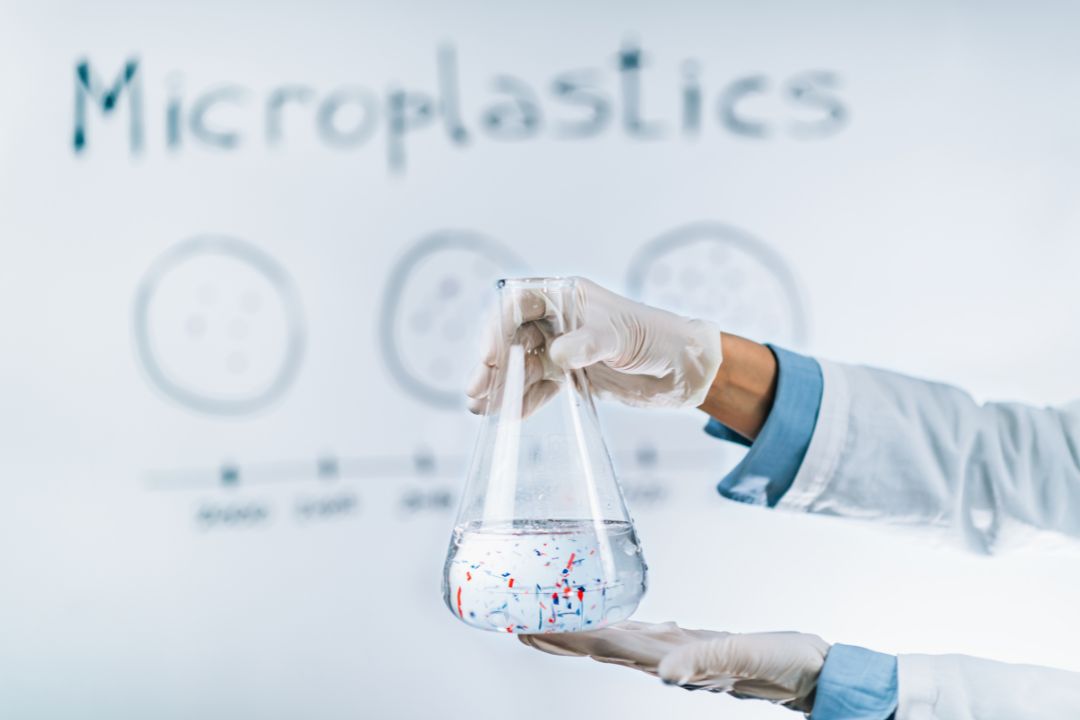 L'effet des microplastiques sur la santé humaine et animale.