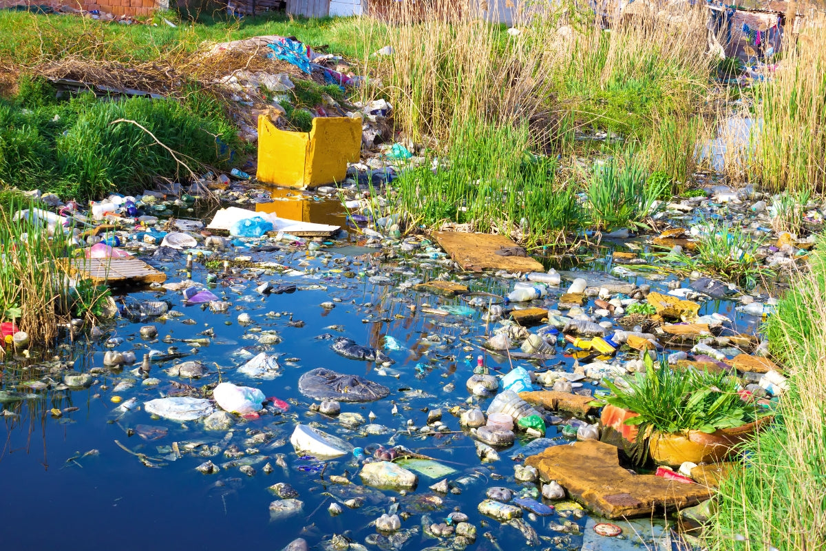 5 conséquences de la pollution de l'eau