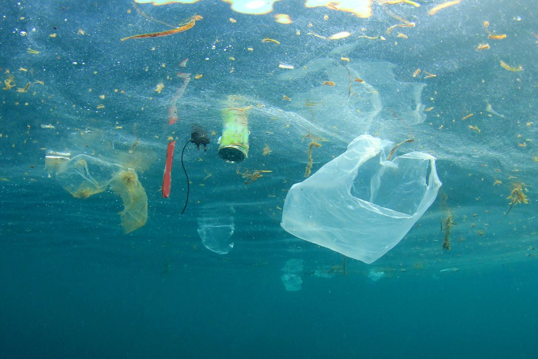 Quels sont les principaux polluants de l'eau ?