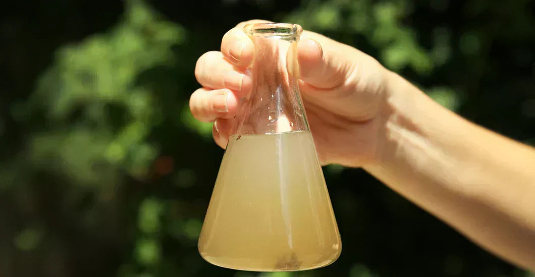 Water pollution: what are the health risks?