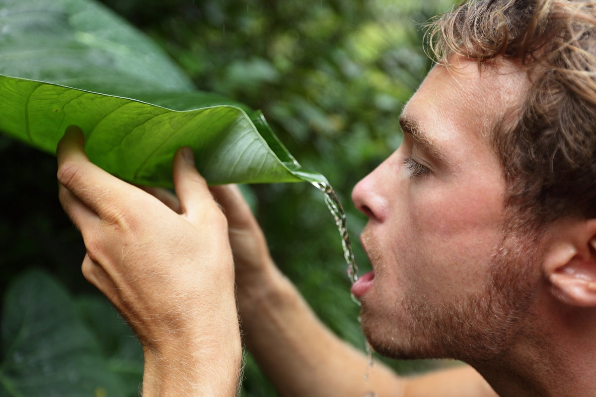 Survival kit: 10 reliable ways to get water in a crisis