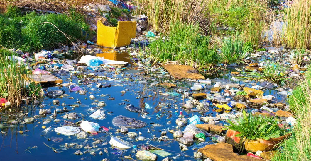 5 Consequences of Water Pollutants