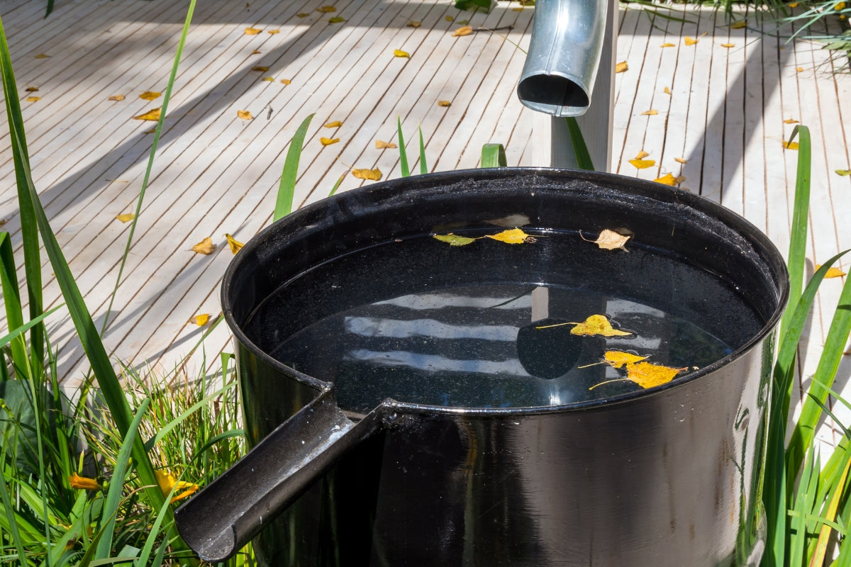 récupérateur d'eau de pluie